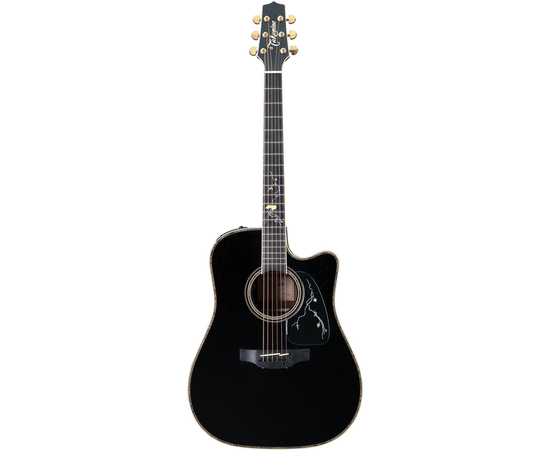 Электроакустическая гитара TAKAMINE LTD2012 MICHI - 72558 за 0 грн. | 4Club