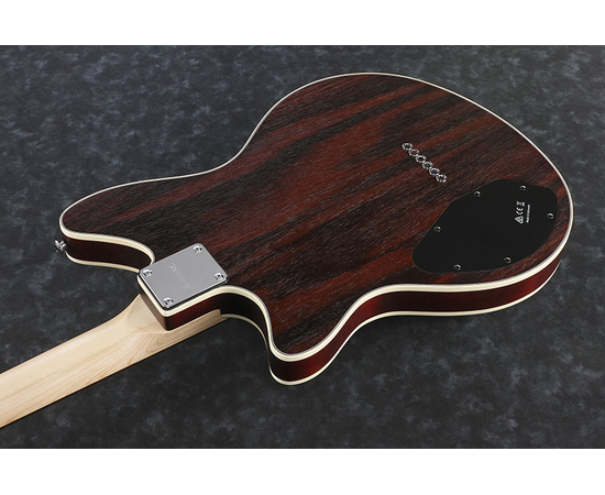 Электрогитары IBANEZ RC720-CNF