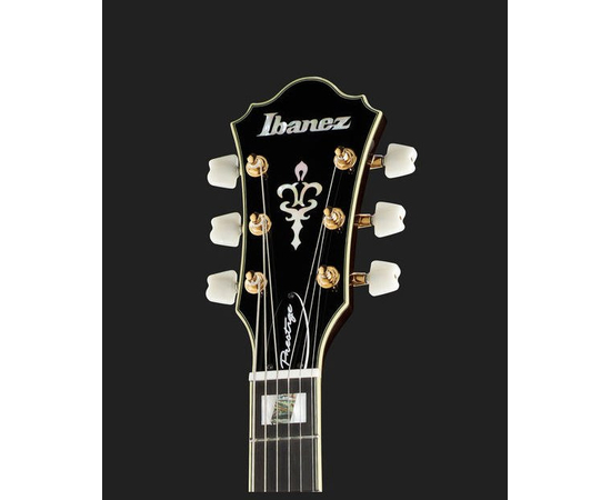 Электрогитара IBANEZ AM205 AV