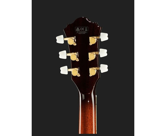 Электрогитара IBANEZ AM205 AV