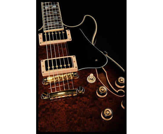 Электрогитара IBANEZ AM205 AV