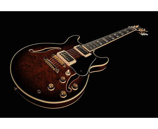 Электрогитара IBANEZ AM205 AV