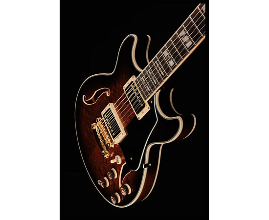 Электрогитара IBANEZ AM205 AV