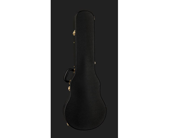 Электрогитара IBANEZ AM205 AV