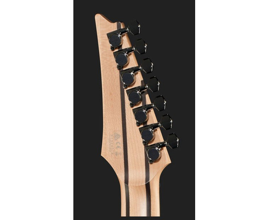 Электрогитара IBANEZ RGD2127FX ISH