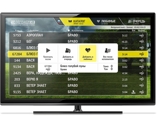 Караоке-система Evolution Lite2