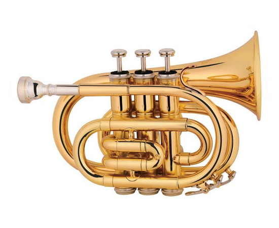 Мини труба Си бемоль MAXTONE TTmini 53L (TTmini) - 115953 за 10902 грн. | 4Club