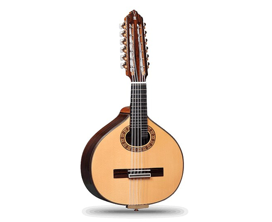 Бандуррия ALHAMBRA B6PA - 116324 за 0 грн. | 4Club