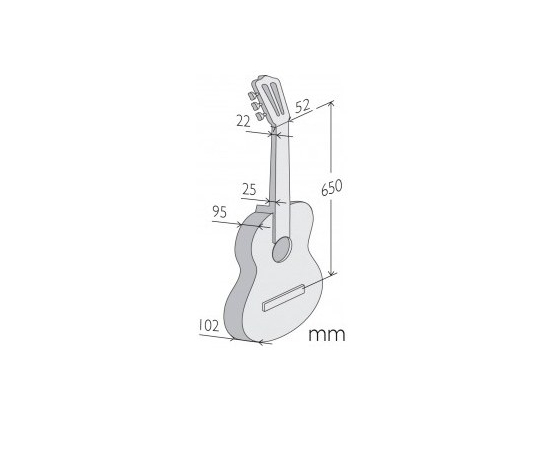 Классическая гитара ALHAMBRA ZNature