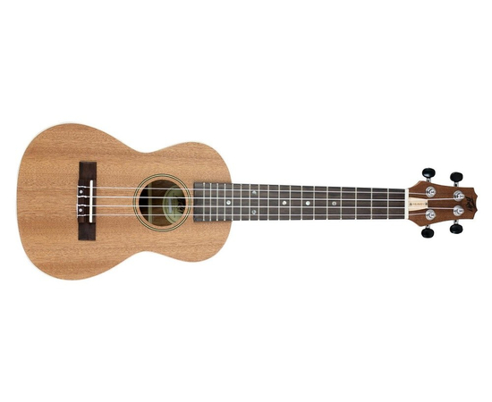 Укулеле PEAVEY STUDENT UKULELE 3016350 - 115190 за 0 грн. | 4Club