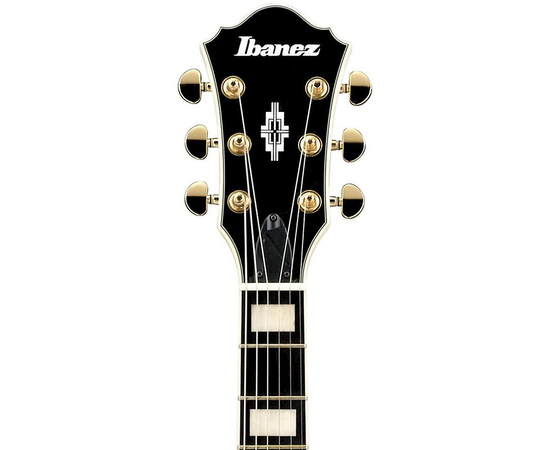 Полуакустическая гитара IBANEZ AF75TDG-IV