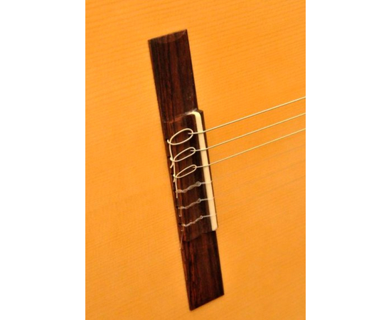 Классическая гитара CAMPS SINFONIAS