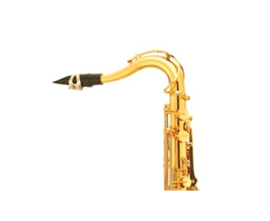 Шейка для тенор саксофона JUPITER STSN889GL - 117030 за 0 грн. | 4Club