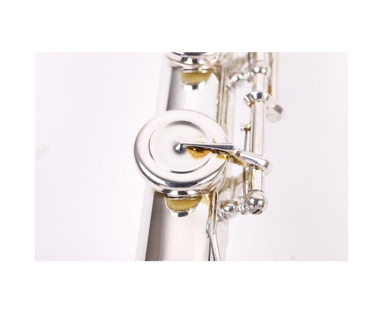 Флейта JUPITER JFL1011RBES