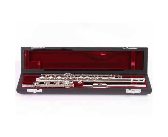 Флейта JUPITER JFL1011RBES - 117450 за 0 грн. | 4Club