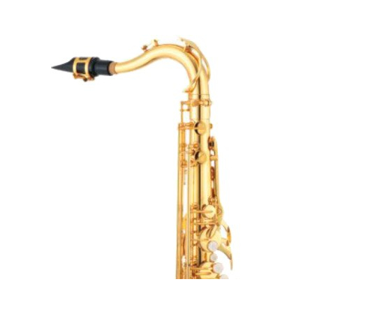 Шейка для тенор саксофона JUPITER STSN587GL - 117023 за 0 грн. | 4Club