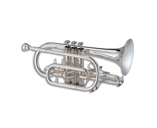 Корнет JUPITER JCR520SFQ - 117196 за 0 грн. | 4Club