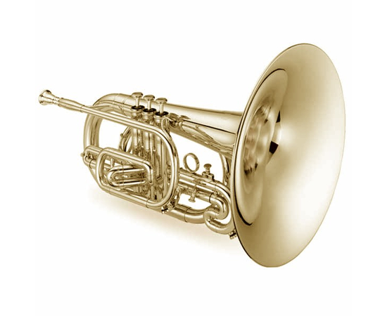 Мелофон JUPITER JMP5050L - 117208 за 0 грн. | 4Club