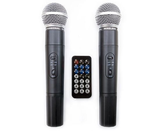 Активная акустическая система HL AUDIO USK15A BT/USB