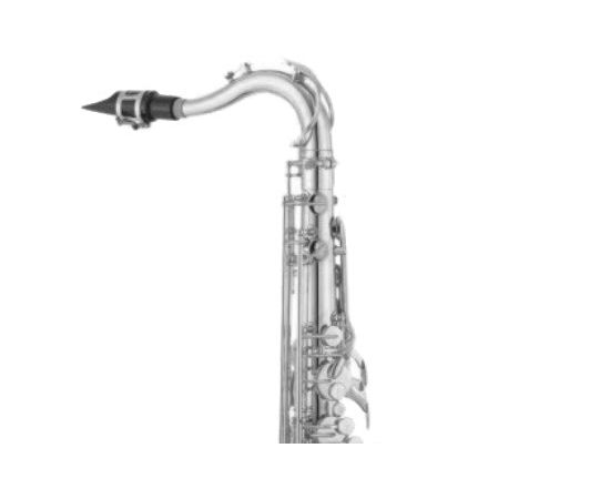 Шейка для тенор саксофона JUPITER STSN587N - 117024 за 0 грн. | 4Club