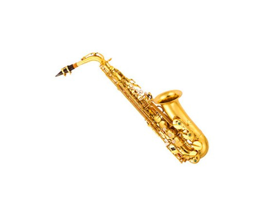 Альт саксофон KAPOK MK0071C - 117538 за 0 грн. | 4Club