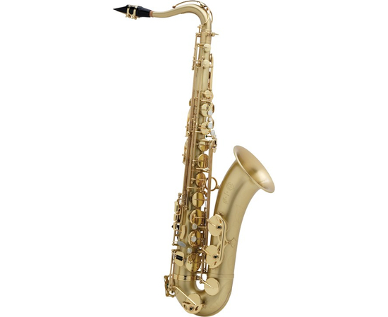 Саксофон SELMER SA 80 II ТB - 117749 за 0 грн. | 4Club