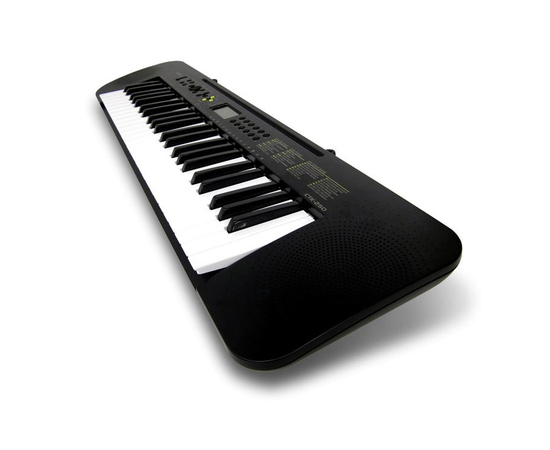 Синтезатор CASIO CTK-245
