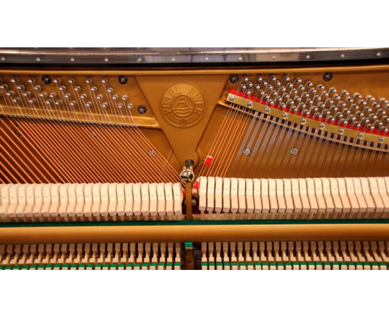 Пианино PEARL RIVER UP131YH Ebony