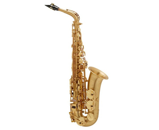 Саксофон-альт SELMER SA 80 II AB - 117737 за 341280 грн. | 4Club