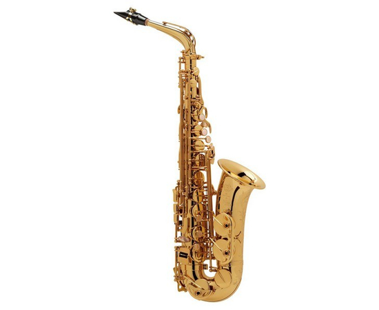 Саксофон-альт SELMER SA 80 II GG - 117736 за 0 грн. | 4Club