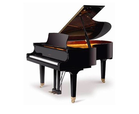 Рояль RITMULLER GP188R1 Ebony - 118439 за 0 грн. | 4Club