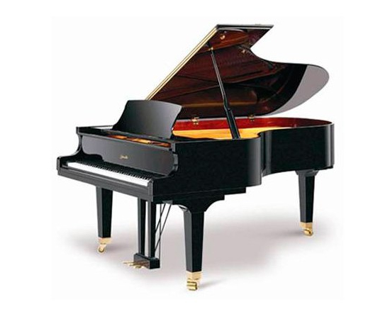 Рояль RITMULLER GP212R1 Ebony - 118443 за 0 грн. | 4Club