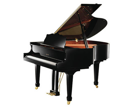 Рояль RITMULLER R9 Ebony - 118419 за 0 грн. | 4Club