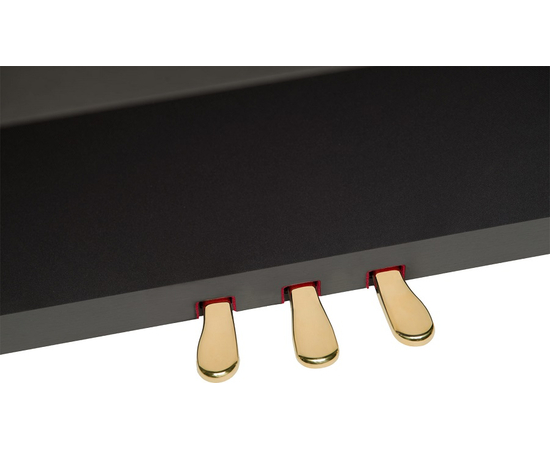 Цифровое фортепиано ROLAND LX7CB