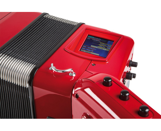 Цифровой баян ROLAND FR8XBRD