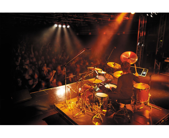 Триггерный модуль ROLAND TM2