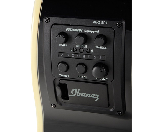 Классическая гитара со звукоснимателем IBANEZ AEG10NII NT
