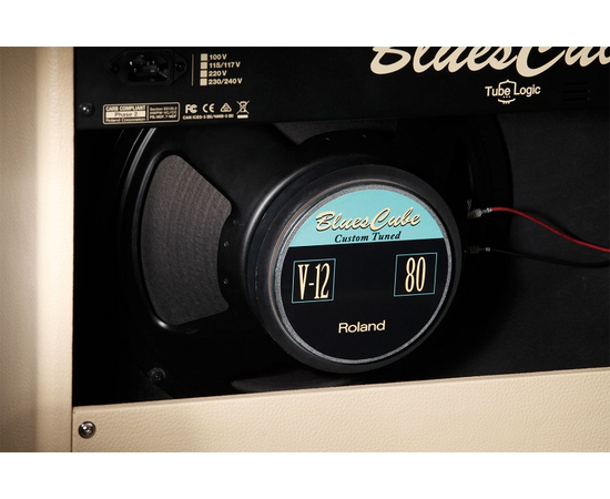 Комбоусилитель ROLAND BCARTIST