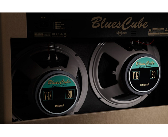 Комбоусилитель ROLAND BCARTIST212