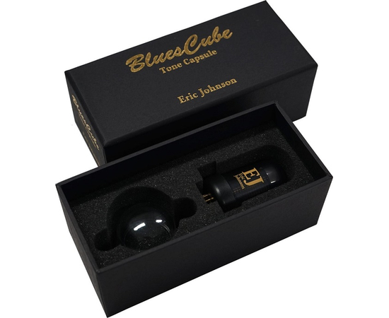 Звуковая капсула ERIC JOHNSON для усилителя BLUES CUBE ROLAND BCTCEJ