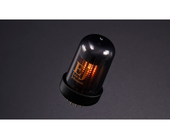 Звуковая капсула ERIC JOHNSON для усилителя BLUES CUBE ROLAND BCTCEJ