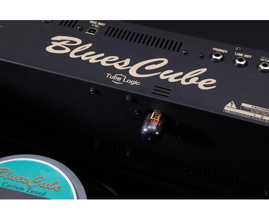 Звуковая капсула ERIC JOHNSON для усилителя BLUES CUBE ROLAND BCTCEJ