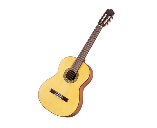 Акустическая классическая гитара WALDEN N550 - 119525 за 0 грн. | 4Club