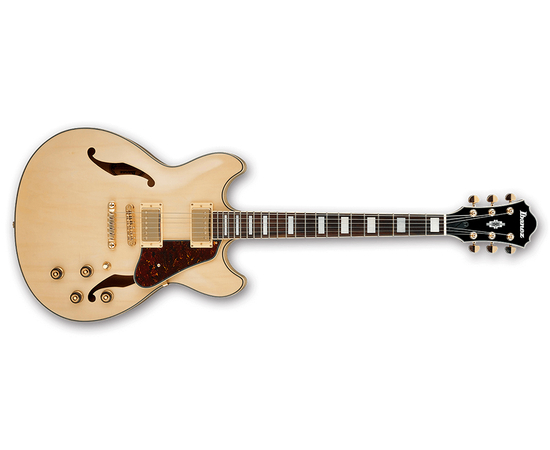 Электрогитара IBANEZ AS73G NT - 120098 за 0 грн. | 4Club