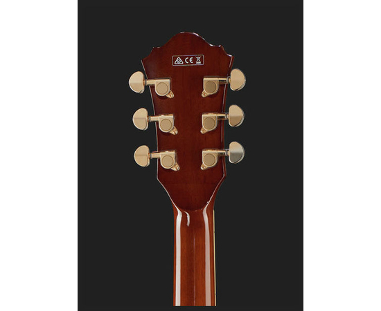 Электрогитара IBANEZ AS73G NT