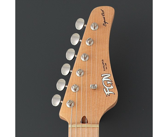 Электрогитара FUJIGEN EOS-ASH-M/2TS