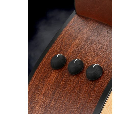 Гитара (левосторонняя) TAYLOR 110eLH