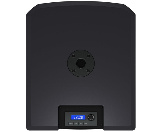Сабвуфер TURBOSOUND iP12B