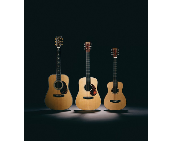 Электроакустическая гитара MARTIN D Jr. (DREADNOUGHT JUNIOR)