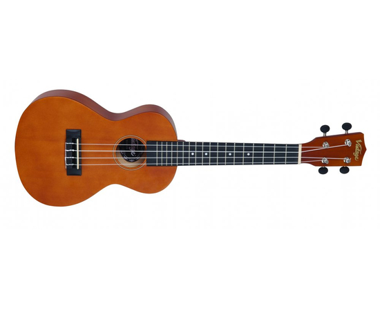 Укулеле VINTAGE VUK30N - 121705 за 4380 грн. | 4Club